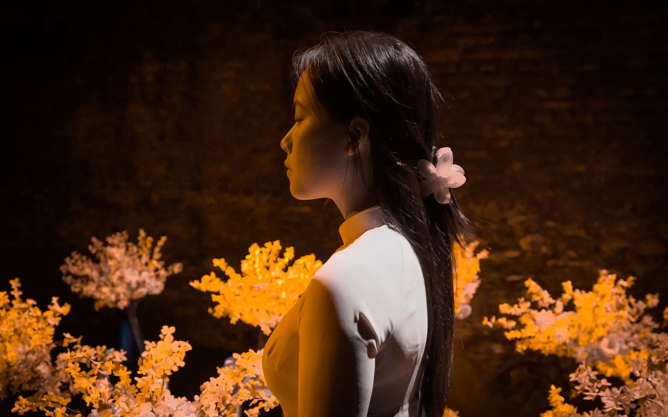 Photographie de Tombe la neige sur Saigon