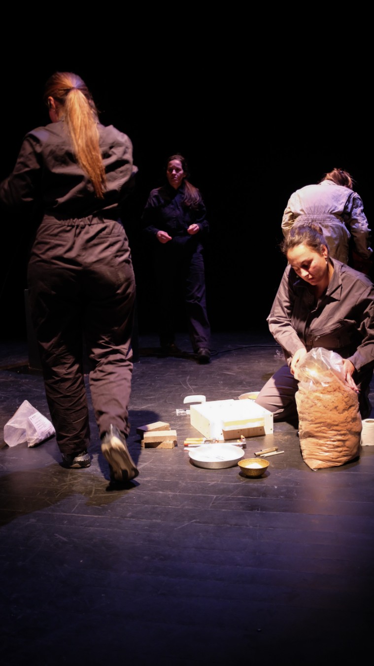 Trésors - Mélanie Peduzzi, Kamand Razavi, Marine Penhouët et Raquel Versieux. Crédit photo : TDV